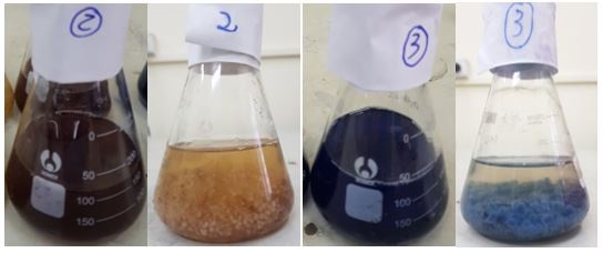 Nghiên cứu sinh tổng hợp enzyme Lignin peroxidase (LiP) từ nấm Đảm kết hợp Laccase để loại bỏ màu nước thải dệt nhuộm