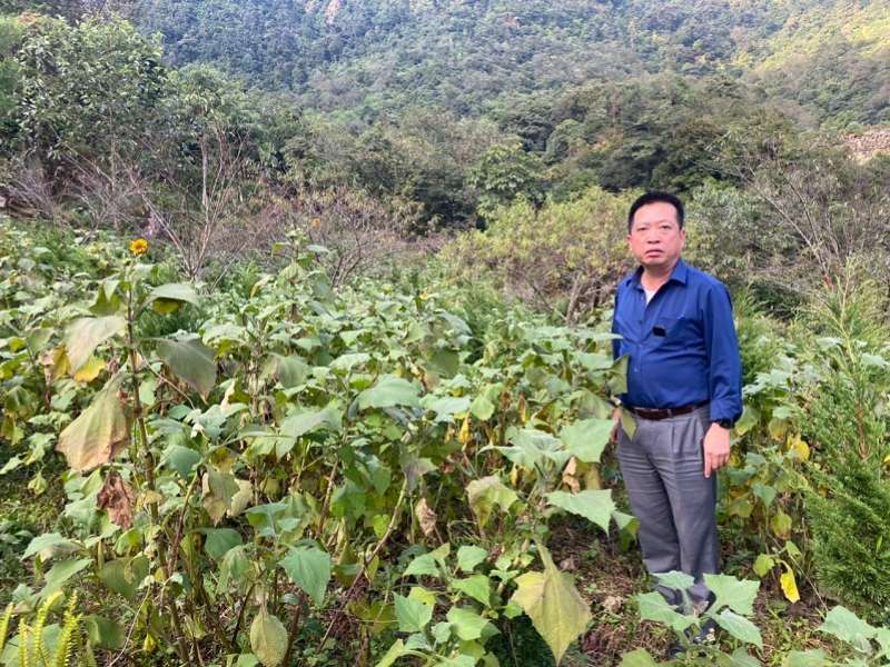 Hội thảo khoa học: “Đánh giá kết quả thực hiện mô hình trồng thử nghiệm cây Hoàng sin cô tại tỉnh Lai Châu”